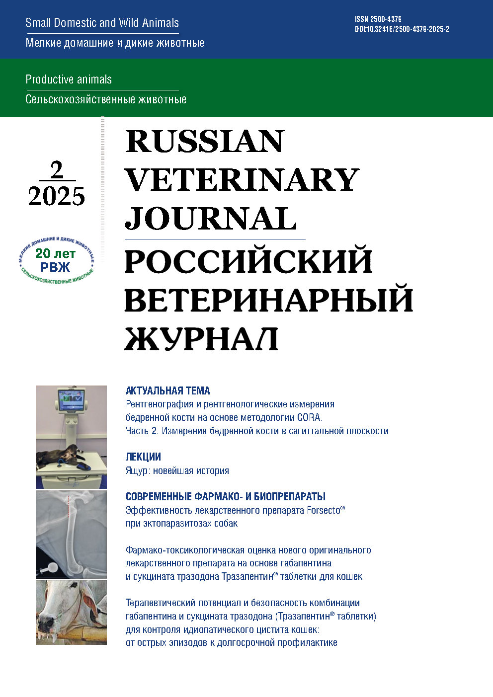             Рентгенография и рентгенологические измерения бедренной кости на основе методологии CORA. Часть 2. Измерения бедренной кости в сагиттальной плоскости
    
